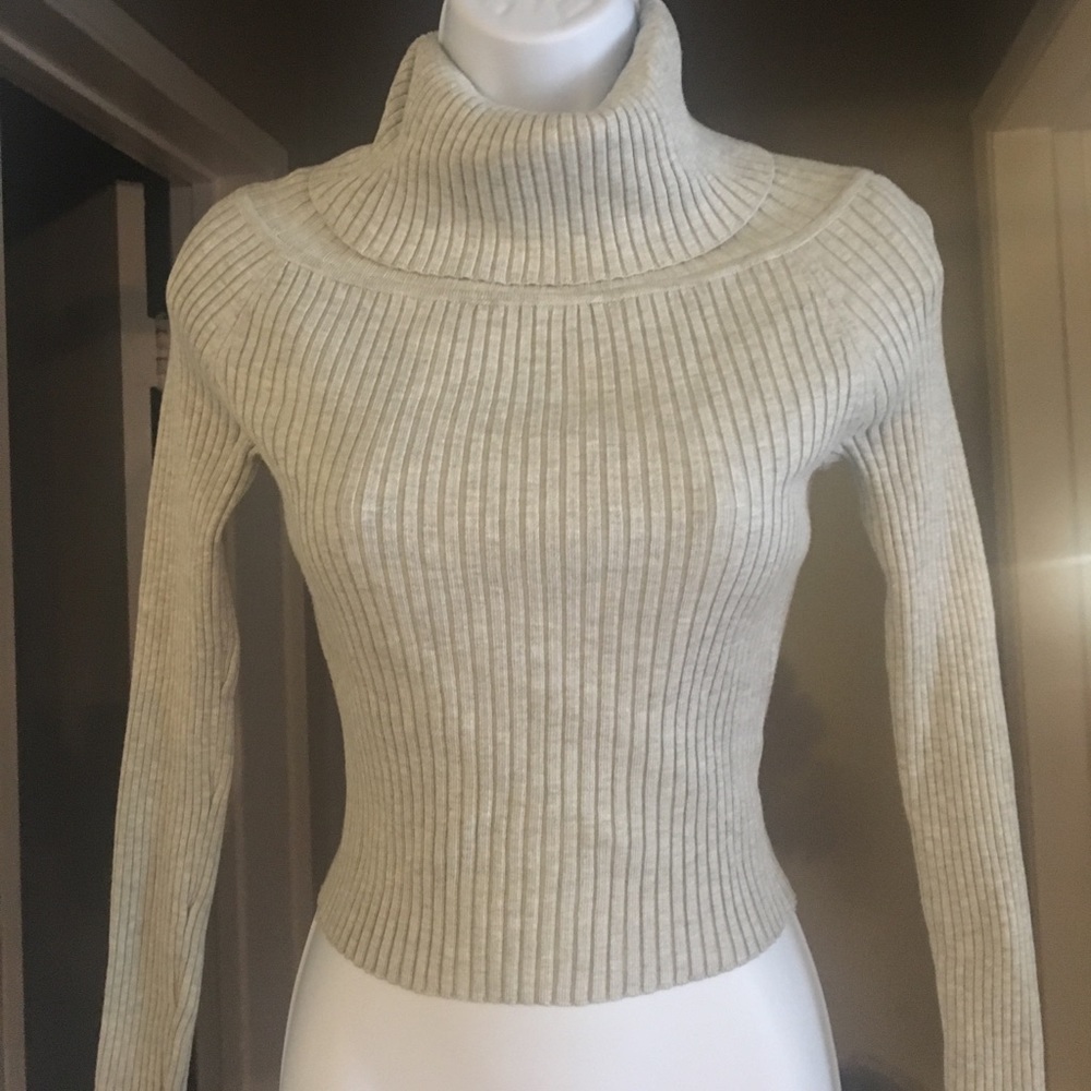 Cropped Turtle Neck